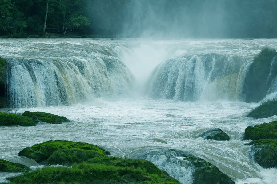 Causas Verdes Las Nubes: Ecoturismo en Chiapas